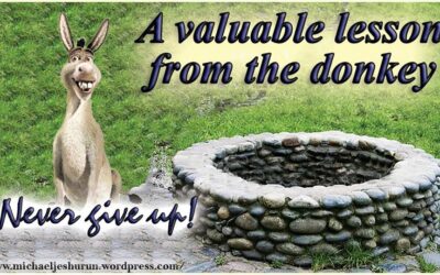 Donkey In The Well