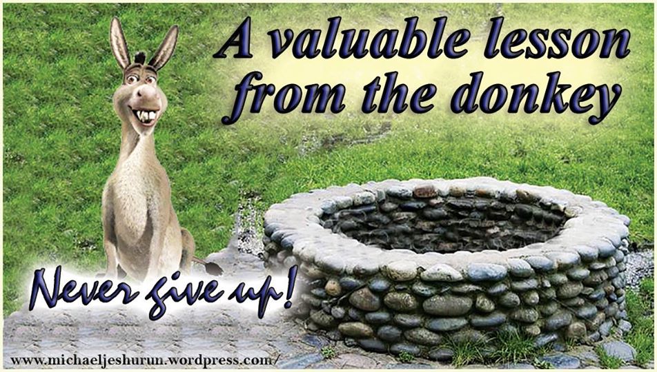 Donkey In The Well