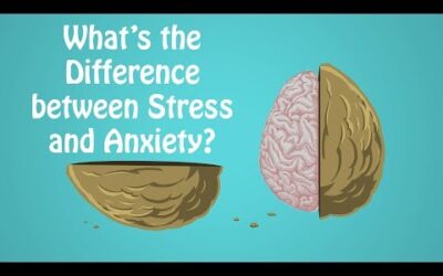 How to turn off the Flight, Flight, Freeze Response:  Anxiety Skills #4